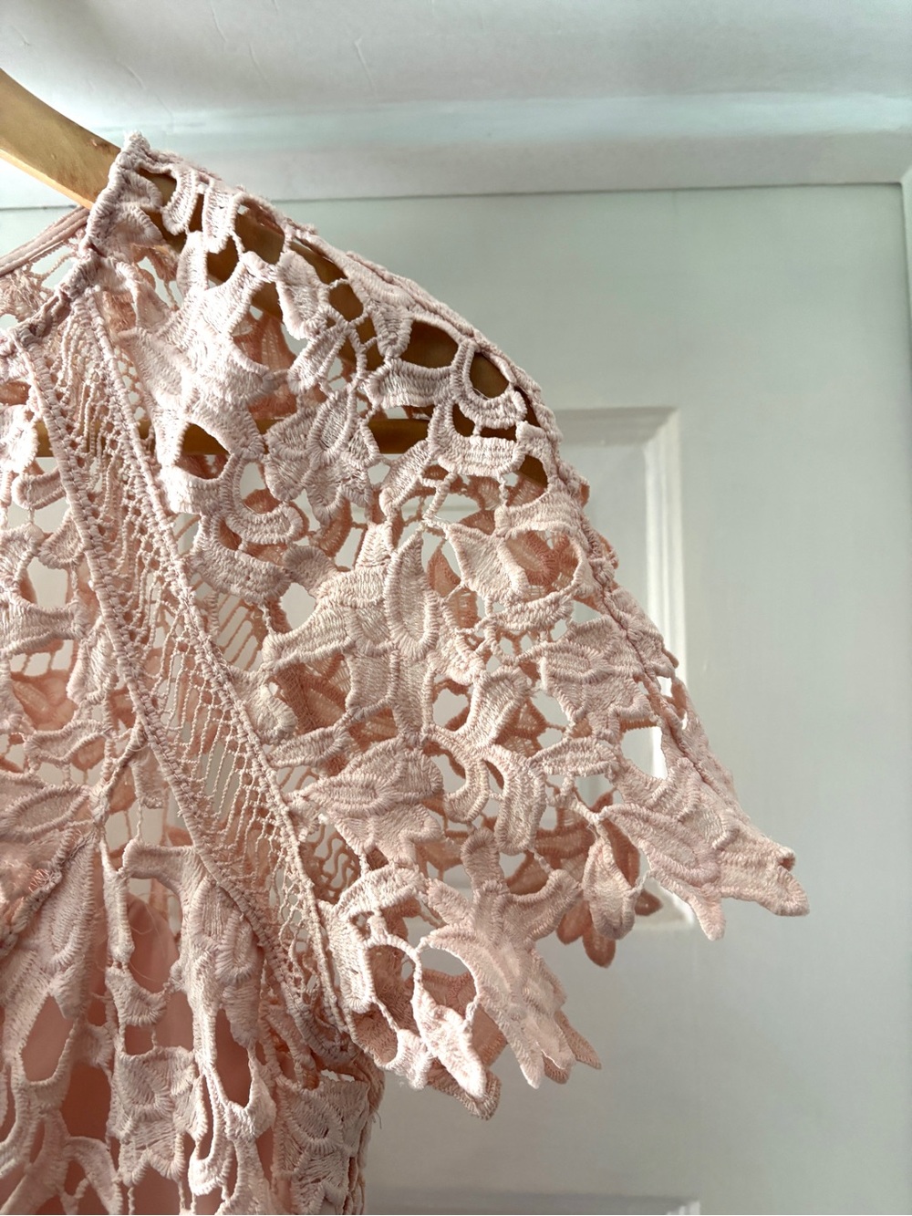 Eliza J Lace Sheath Mini Dress Crochet Lace Overlay Blush Pink Size 4P - Picture 4 of 13